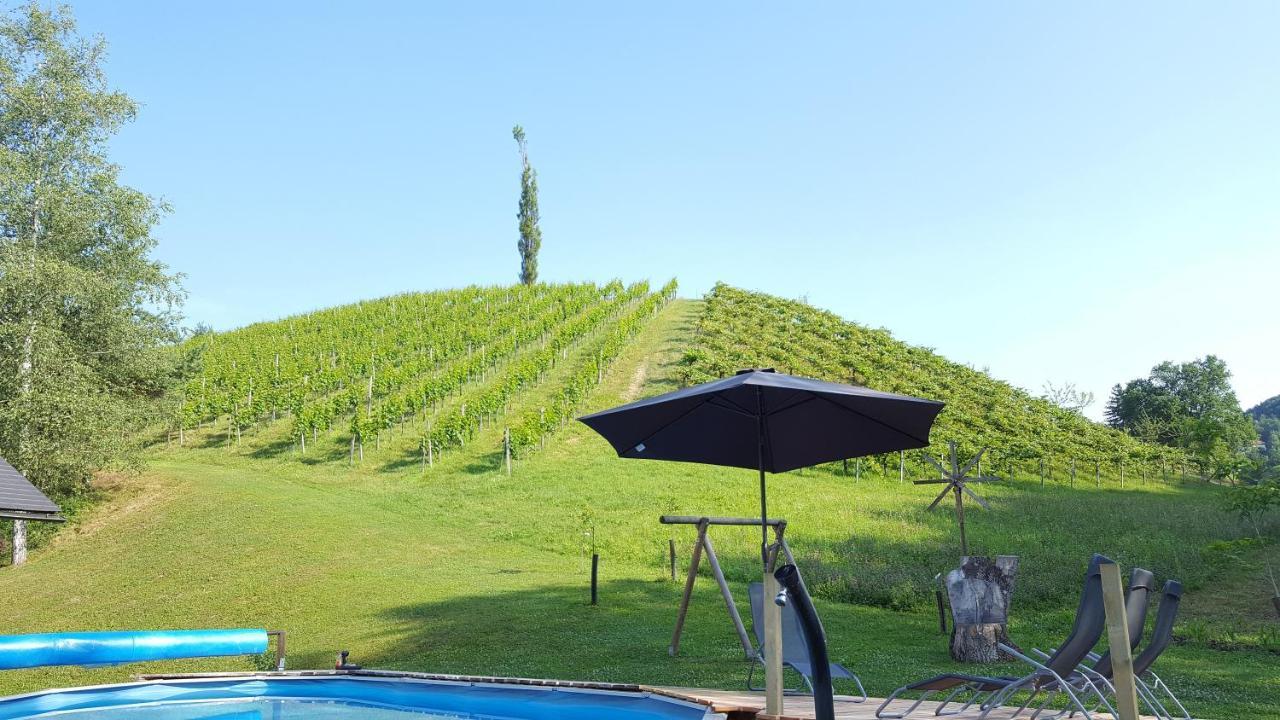 Hotel Weingut Lieschnegg Leutschach Esterno foto